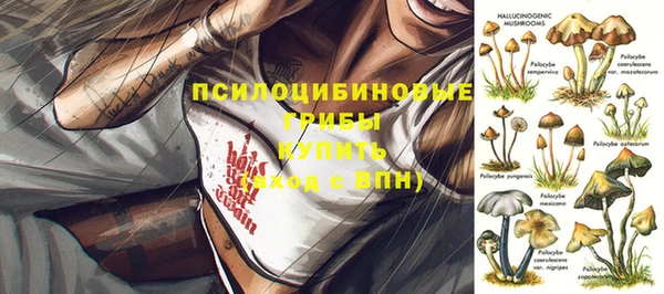 MDMA Premium VHQ Михайлов