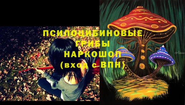 молекула духа Михайловск