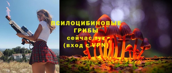 MDMA Premium VHQ Михайлов