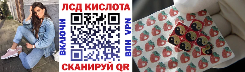 Марки N-bome 1500мкг Чадан