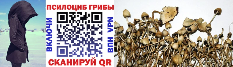 Галлюциногенные грибы Cubensis  Чадан 